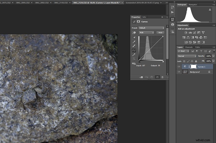 Master Non-Destructive Editing in Photoshop: Pro Techniques & Tips