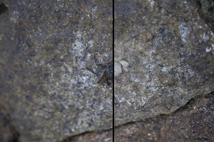 Master Non-Destructive Editing in Photoshop: Pro Techniques & Tips