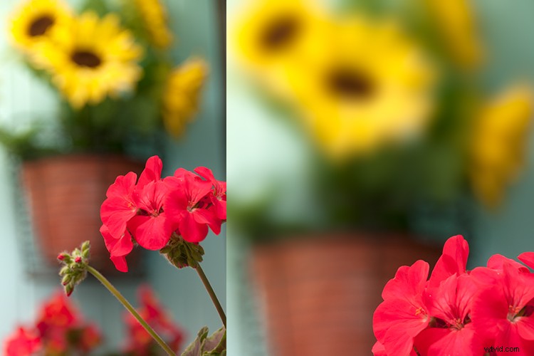 Master Photoshop Blur Filters: Pro Tips for Motion Blur & Bokeh Effects