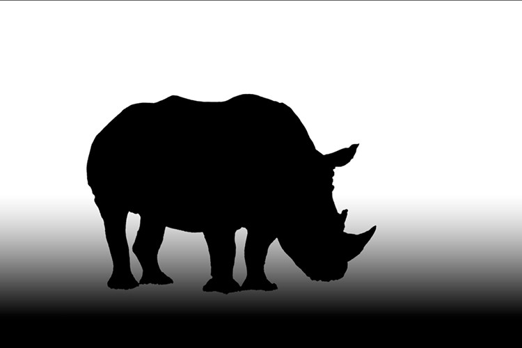 Master Photoshop Blur Filters: Pro Tips for Motion Blur & Bokeh Effects