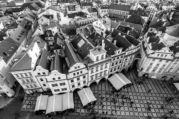 Master Black & White Photo Conversion in Photoshop: Expert Guide