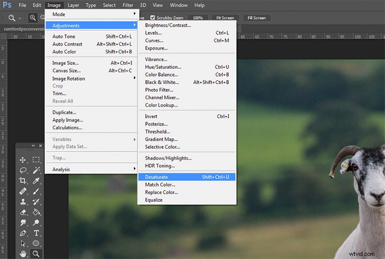 Master Black & White Photo Conversion in Photoshop: Expert Guide