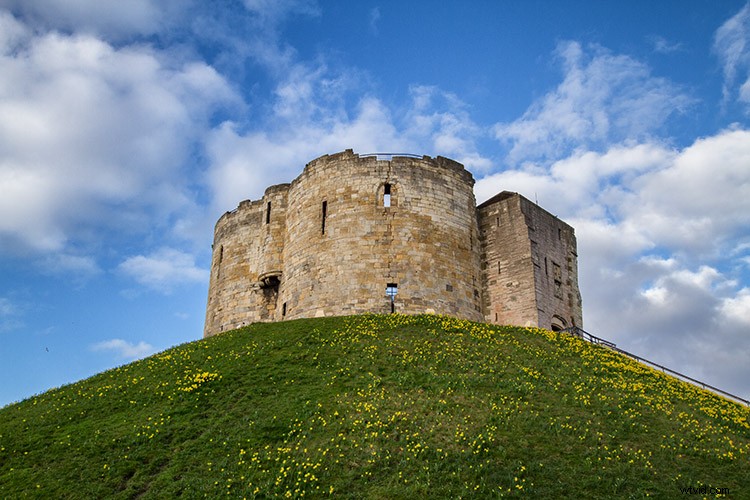 Master Black & White Photo Conversion in Photoshop: Expert Guide