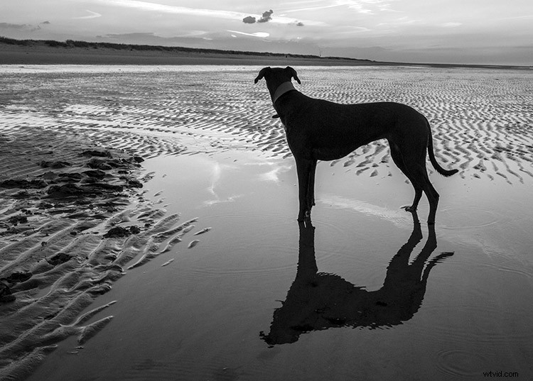 Master Black & White Photo Conversion in Photoshop: Expert Guide