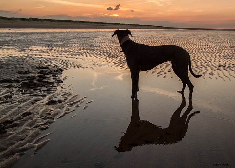 Master Black & White Photo Conversion in Photoshop: Expert Guide