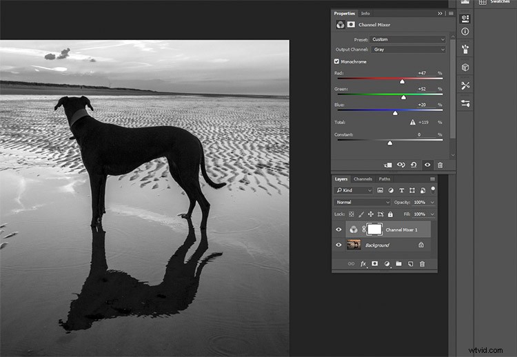 Master Black & White Photo Conversion in Photoshop: Expert Guide
