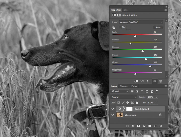 Master Black & White Photo Conversion in Photoshop: Expert Guide