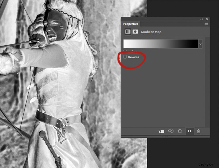 Master Black & White Photo Conversion in Photoshop: Expert Guide