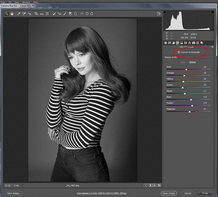 Master Black & White Photo Conversion in Photoshop: Expert Guide