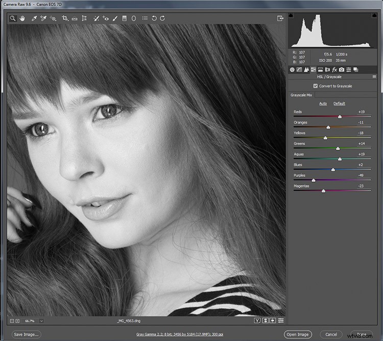 Master Black & White Photo Conversion in Photoshop: Expert Guide