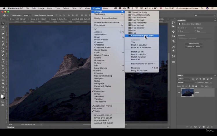 Photoshop for Beginners: Easily Add Elements to Images & Transform Day to Night