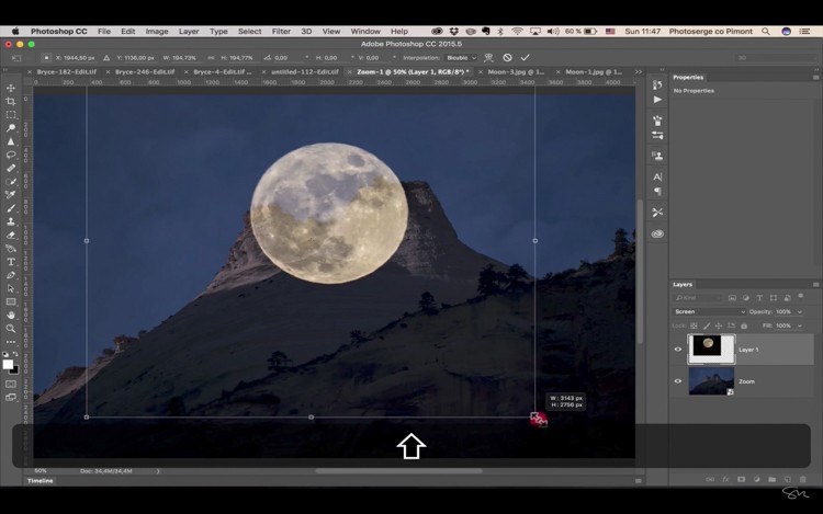 Photoshop for Beginners: Easily Add Elements to Images & Transform Day to Night