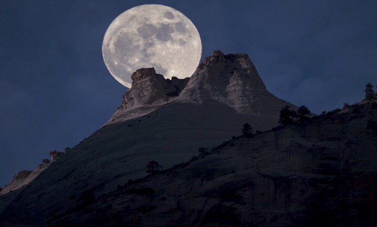 Photoshop for Beginners: Easily Add Elements to Images & Transform Day to Night