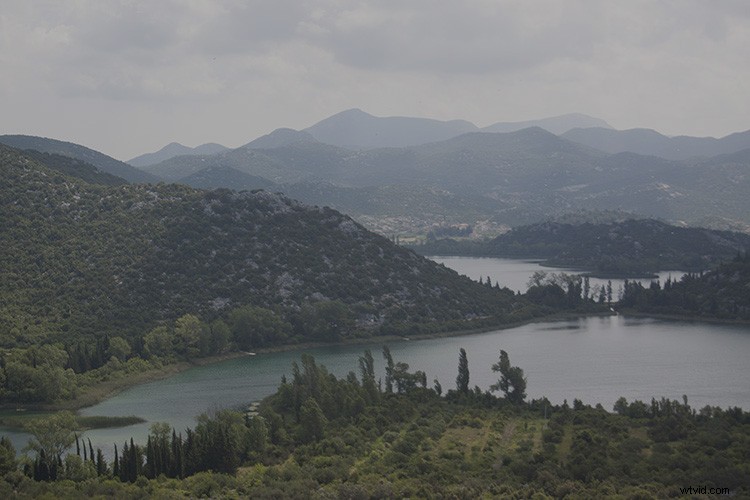 Master Photo Contrast in Photoshop: Curves and Levels Adjustment Guide