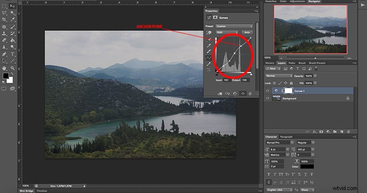 Master Photo Contrast in Photoshop: Curves and Levels Adjustment Guide