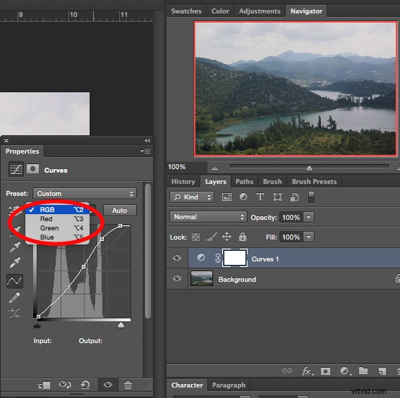Master Photo Contrast in Photoshop: Curves and Levels Adjustment Guide
