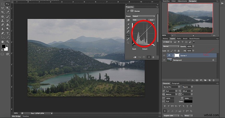 Master Photo Contrast in Photoshop: Curves and Levels Adjustment Guide