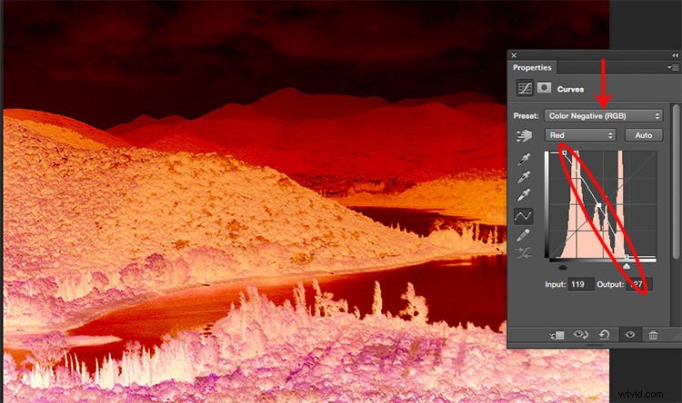 Master Photo Contrast in Photoshop: Curves and Levels Adjustment Guide