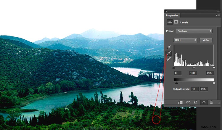 Master Photo Contrast in Photoshop: Curves and Levels Adjustment Guide
