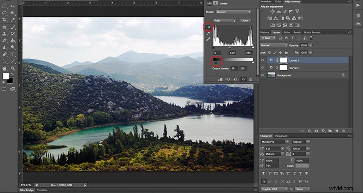 Master Photo Contrast in Photoshop: Curves and Levels Adjustment Guide