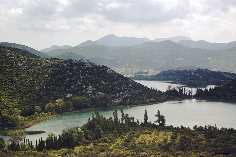 Master Photo Contrast in Photoshop: Curves and Levels Adjustment Guide