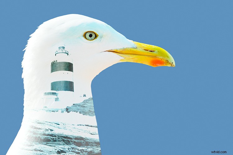 Create Stunning Double Exposure Effects in Photoshop: Step-by-Step Guide