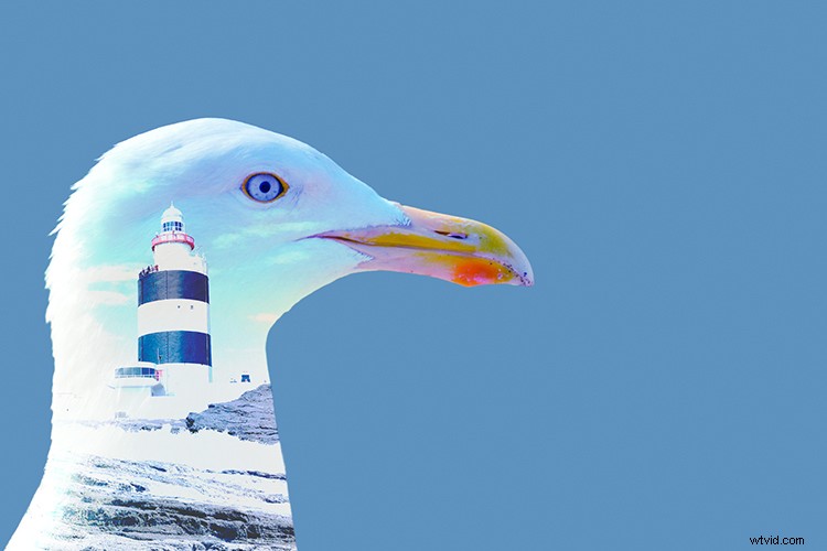 Create Stunning Double Exposure Effects in Photoshop: Step-by-Step Guide