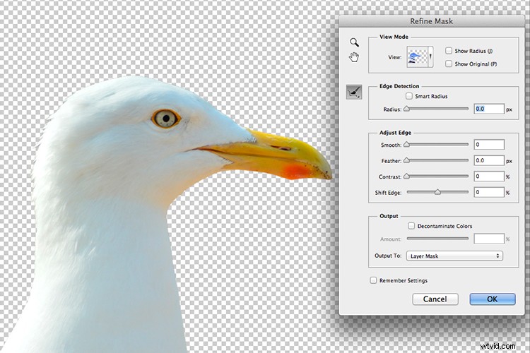 Create Stunning Double Exposure Effects in Photoshop: Step-by-Step Guide