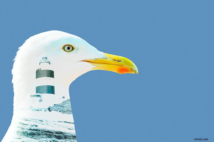 Create Stunning Double Exposure Effects in Photoshop: Step-by-Step Guide