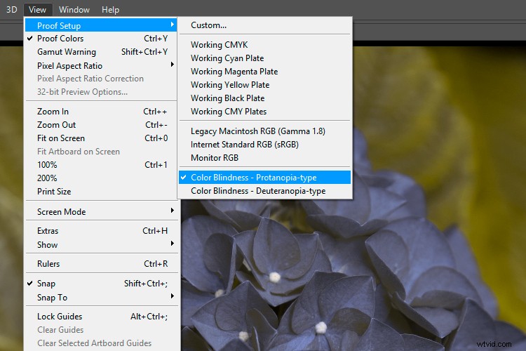 Master 6 Essential Photoshop Color Settings for Pro Results