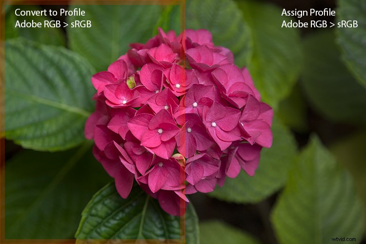 Master 6 Essential Photoshop Color Settings for Pro Results
