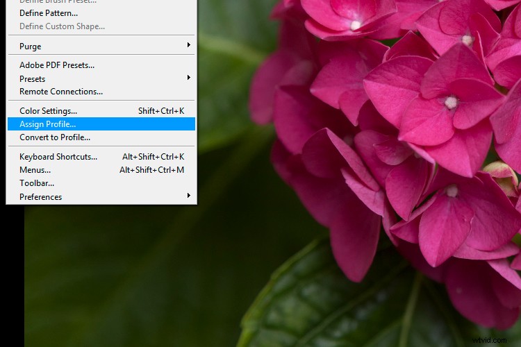 Master 6 Essential Photoshop Color Settings for Pro Results