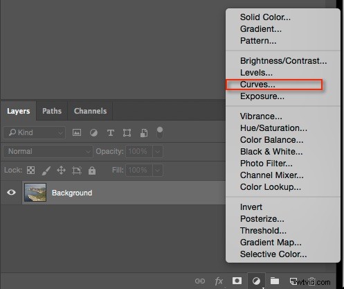 Master Photoshop s Curves Tool: Pro Guide to Color & Contrast Control
