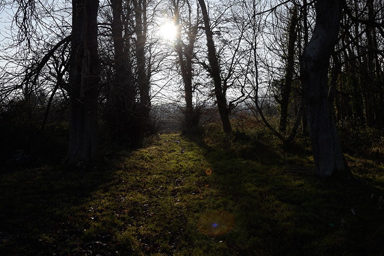 Master the Photoshop Pen Tool: Why the Effort Delivers Unmatched Precision