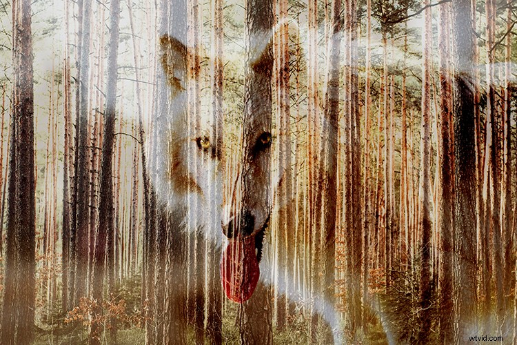 Create Stunning Double Exposures In-Camera: No Photoshop Required