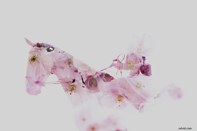 Create Stunning Double Exposures In-Camera: No Photoshop Required