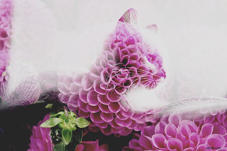 Create Stunning Double Exposures In-Camera: No Photoshop Required