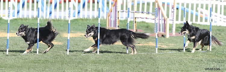 Create Stunning Double Exposures In-Camera: No Photoshop Required