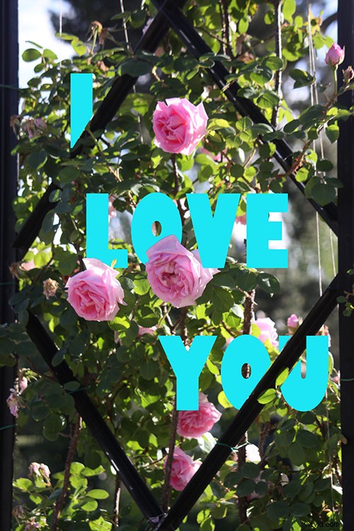 Photoshop Tutorial: Master Layers & Masks to Add Professional Text Overlays to Photos