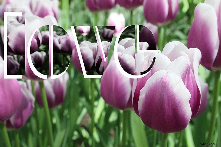 Photoshop Tutorial: Master Layers & Masks to Add Professional Text Overlays to Photos