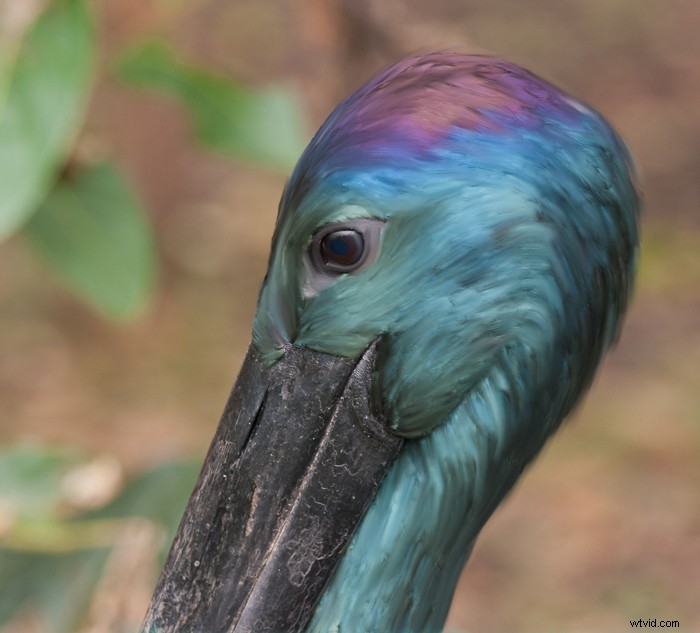 Master Digital Painting in Photoshop: Pro Tips for the Mixer Brush