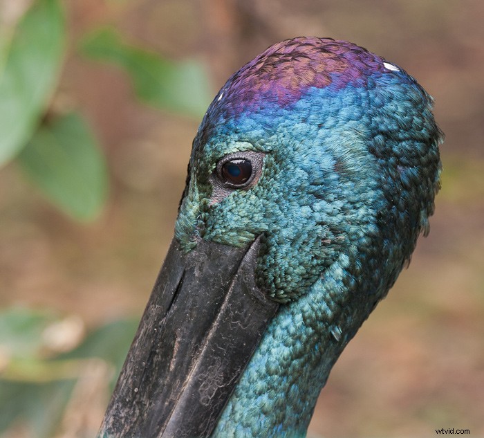 Master Digital Painting in Photoshop: Pro Tips for the Mixer Brush