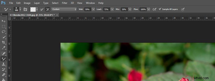 Master Digital Painting in Photoshop: Pro Tips for the Mixer Brush