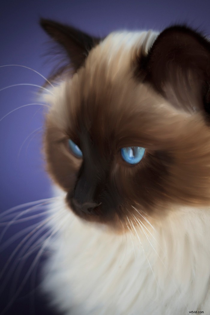 Master Digital Painting in Photoshop: Pro Tips for the Mixer Brush