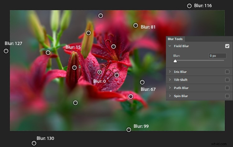 Master Realistic Bokeh & Blur Effects in Photoshop: Pro Step-by-Step Guide