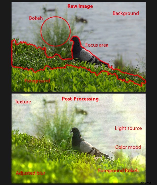 Master Realistic Bokeh & Blur Effects in Photoshop: Pro Step-by-Step Guide