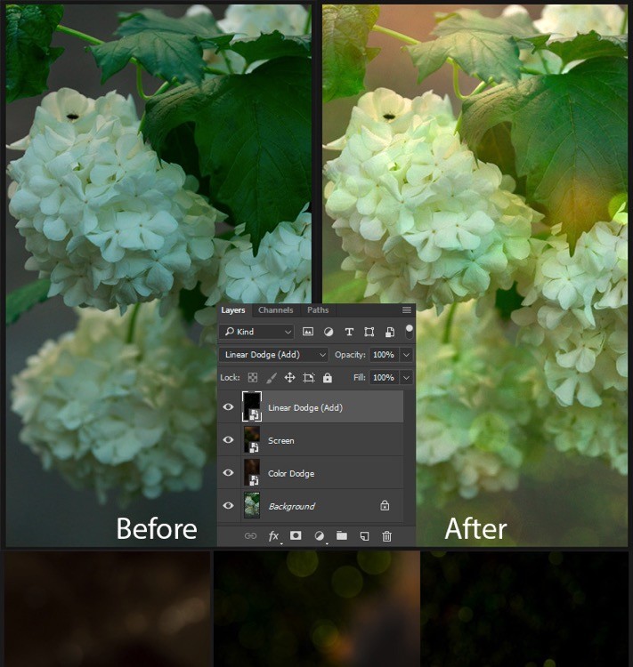 Master Realistic Bokeh & Blur Effects in Photoshop: Pro Step-by-Step Guide