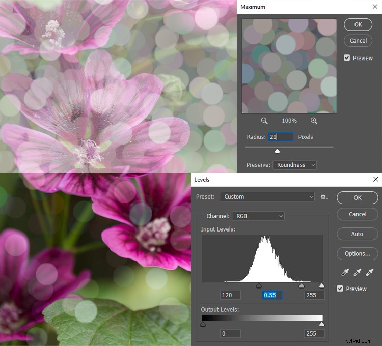 Master Realistic Bokeh & Blur Effects in Photoshop: Pro Step-by-Step Guide