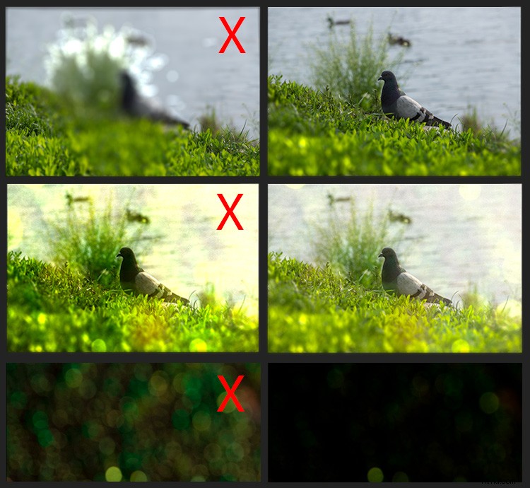 Master Realistic Bokeh & Blur Effects in Photoshop: Pro Step-by-Step Guide