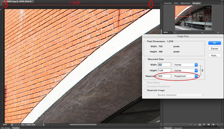 Photoshop Guide: Master Pixels, Resolution, and Image Resizing Correctly